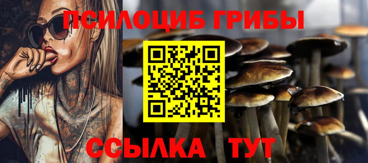 Псилоцибиновые грибы GOLDEN TEACHER  Псилоцибиновые грибы ЛСД  Керчь  Вход с VPN 
