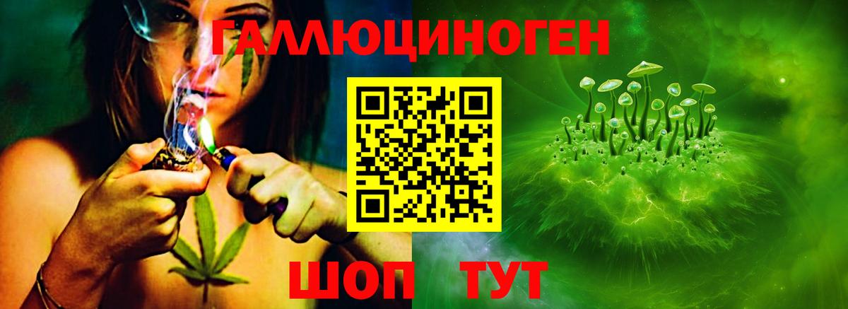 Псилоцибиновые грибы GOLDEN TEACHER Керчь